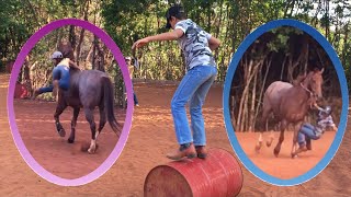 Desafio Malabarismo E Corrida Sem Sela Neto Esborrachou No Chão - Irmãos Machs