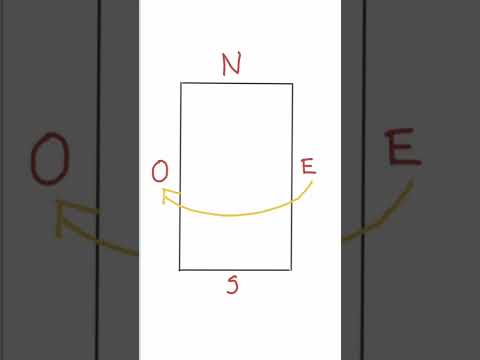 Video: La zona ciega alrededor de la casa. ¿Cómo hacer y por qué?