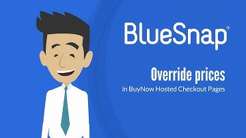 Price Overrides: How to Set Custom Pricing with BlueSnap