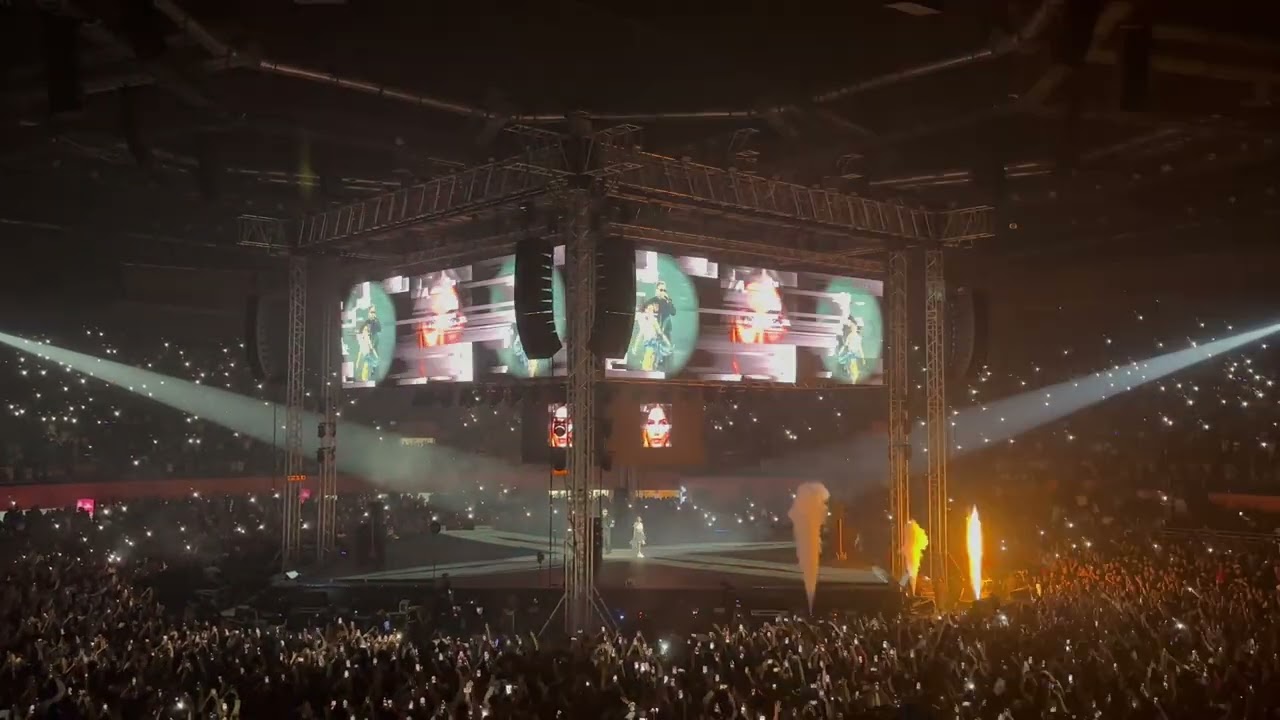 Brown Rang ! Honey Singh ! Live concert! Delhi !!!