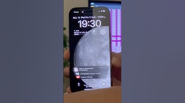Envio de mensagem Bot em Python #python #bot