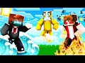 MINECRAFT MA OGNUNO DOMINA UN ELEMENTO
