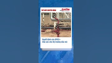 OPEC+ tiếp tục tăng sản lượng dầu trong tháng 11 #shorts | Cần Thơ