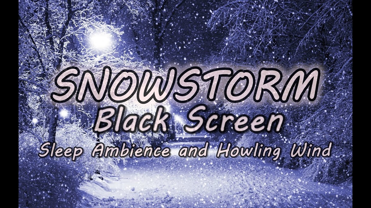 Blizzard Storm Sound For Sleeping - Relaxing - BLACK SCREEN