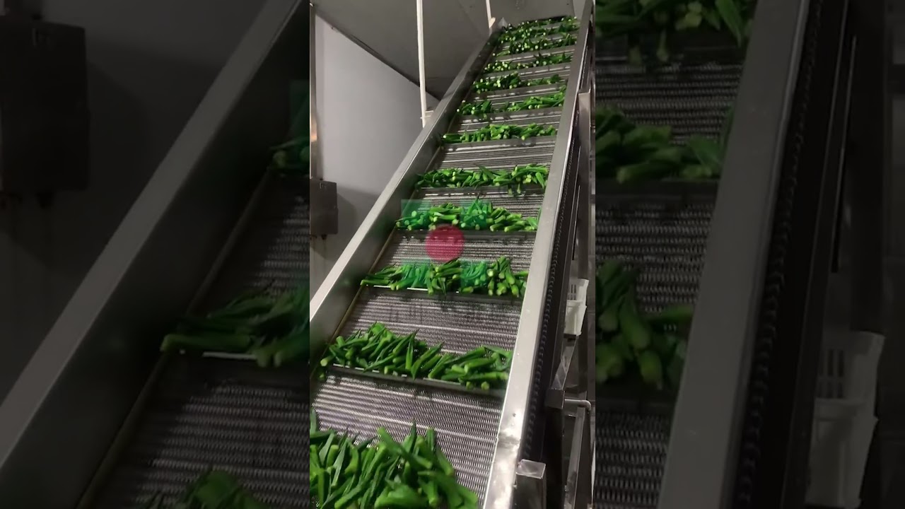 Fluidization IQF freezer