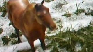 Winter Breeze trailer