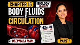 Body Fluids and Circulation/ Class 11/ Biology / NCERT Line by Line / Part-1/ Chapter 15 explained