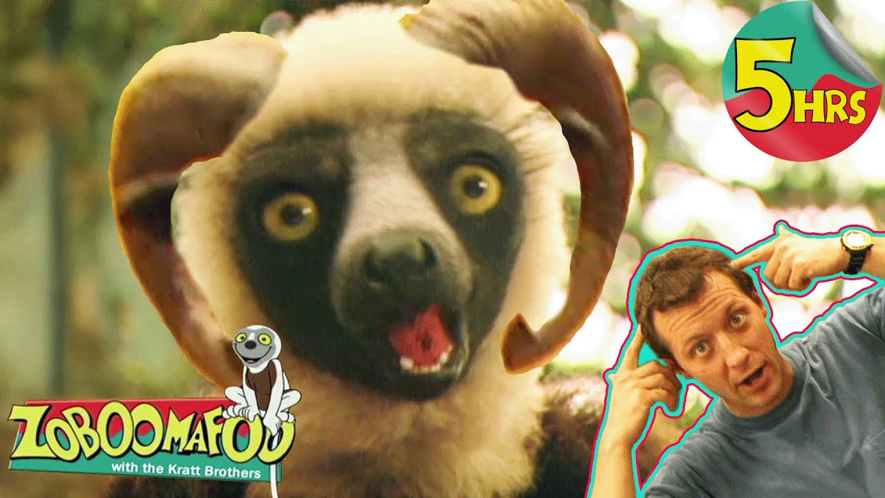 5 Hours of Zoboomafoo! | Lids | Movies for Kids