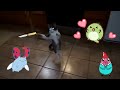 Cat Jumping In Slow Mo