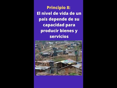 Principio 8: el nivel de vida de un país depende de su capacidad para producir bienes y servicios