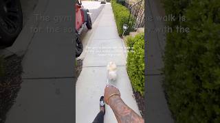 Active Recovery Is Where The Muscles Grow