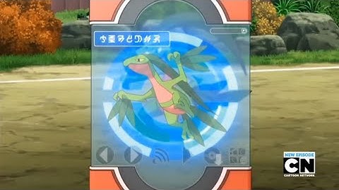 Treecko, Grovyle, and Sceptile Pokédex Entries..wmv