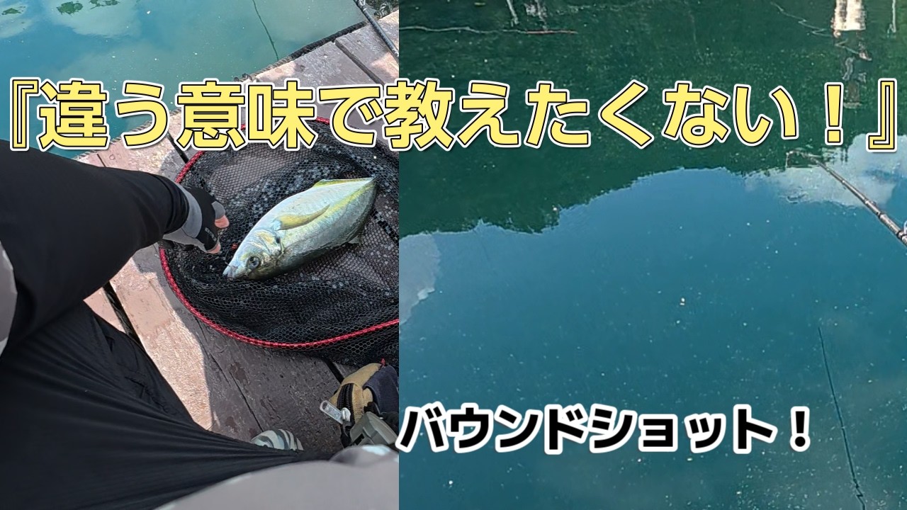 釣ってないはずが I don't want to tell you for a different reason, but you have to
