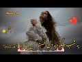 The best Persian songغمگین ترین آهنگ فارسی۲۰۲۶(دلتنگتم) 