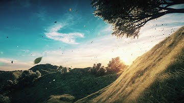 Octane - Landscape