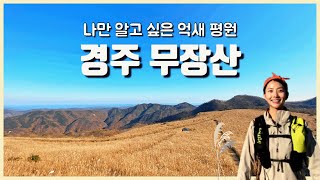 [랜선여행] 억새평원에 반한 경주 무장산 힐링등산 | 꼭 가봐야 할 가을산행지 screenshot 2