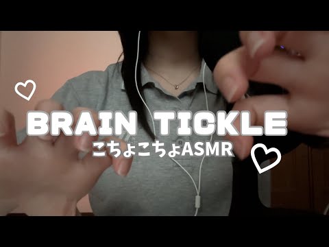  【ASMR】耳が楽しいこちょこちょサウンド🎧