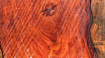 GL gốc cẩm chỉ krôngpa đặc tịt 46kg đục tiện đều OK giá lh0338918991 thương gỗ quý.vn