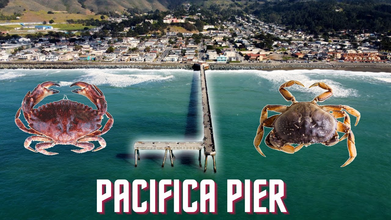 Crabbing & Fishing Pacifica Pier  California (Dungeness & Rock Crabs) 