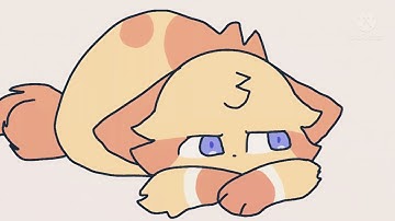 Battle scars ▪︎ the broken code