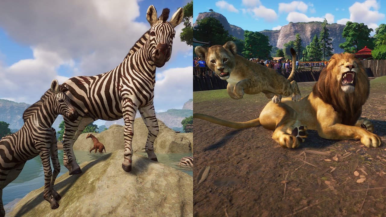 ZOO Plains Zebra West African Lion Hunts in Kuala Bintu Taman