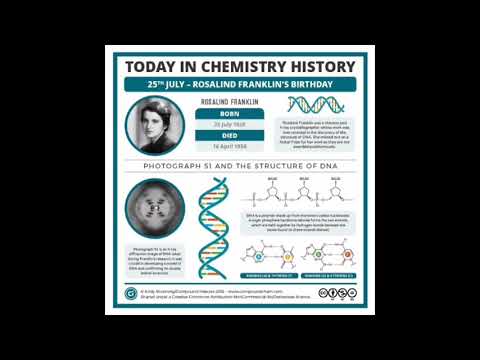 Video: DNK ham, RNK ham oqsil sintezi viktorinasida qanday ishtirok etadi?
