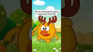 Это я показываю другу смешной ТикТок #shorts #смешарики #memes #мем #мемы #catlovers #meme