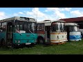 Легендарные советские автомобили || Наши Автобусы: ЛАЗ-42021 | Autosan H9 | Ikarus 55 Lux || 2 серия