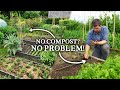 7 FREE Tricks to Grow Food With Limited Compost