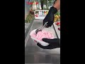 Vanilla corn ice cream rolls  how to make an ice cream  chinese food shorts  icecreamrolls