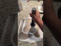 Stop fighting bad adhesion—this is the easiest way to get your build plates perfectly clean every