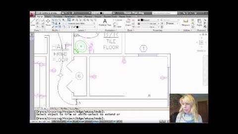 Trim and Extend with an Edge (Lynn Allen/Cadalyst Magazine)