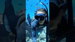 Is Scuba Diving Better Than Snorkeling?