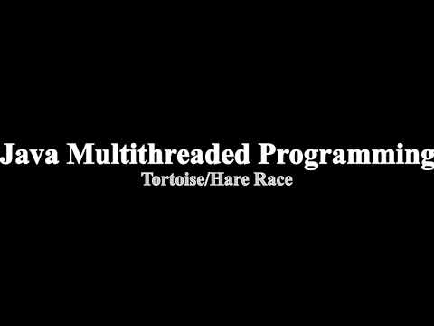 Tortoise/Hare Race (Java Multi-threaded programming)