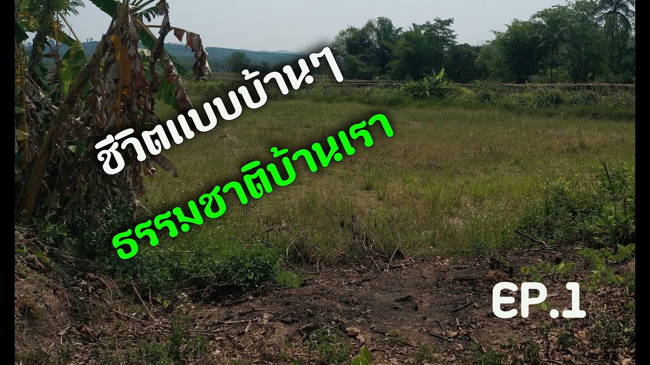 ชีวิตแบบบ้านๆ ธรรมชาติบ้านเรา ep.1