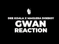 Dee Koala Gwan Reaction