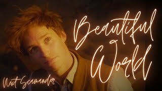 Newt Scamander - Beautiful World