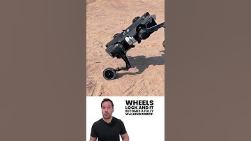 Robot Dog That SPLITS in HALF!