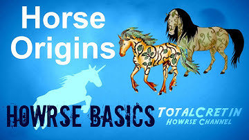 Horse Origins - Howrse Basics