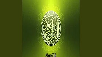 عامر الكاظمي سورة الأنفال