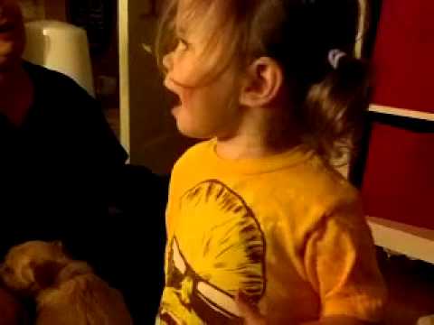 Little girl tries to say Chewbacca