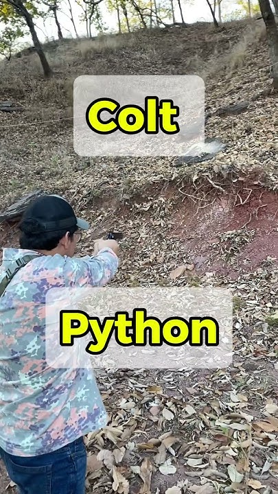 Colt Python prueba - YouTube