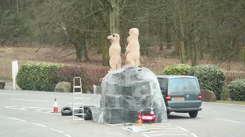 meerkat sculpture at Knowsley Safari Park timelapse