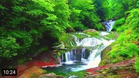 سورة الانفال برواية ابن ذكوان