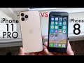 iPhone 11 Pro Vs iPhone 8! (Comparison) (Review)