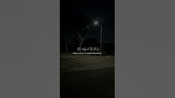 سورة الأعراف - الآيات 80-84 - تلاوة ماهر المعيقلي