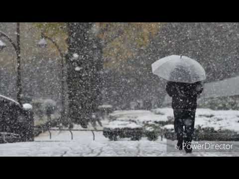 細雪-能不能留住你 薩克斯風演奏