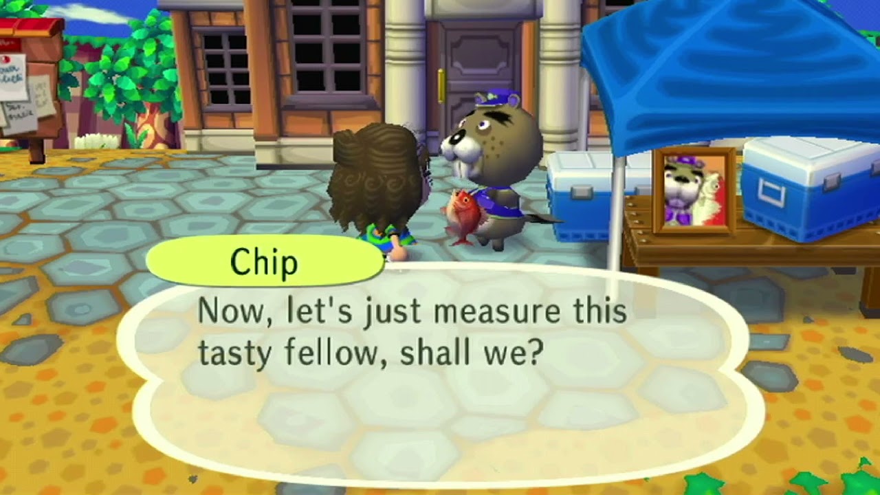 Animal Crossing City Folk Fishing Tourney YouTube