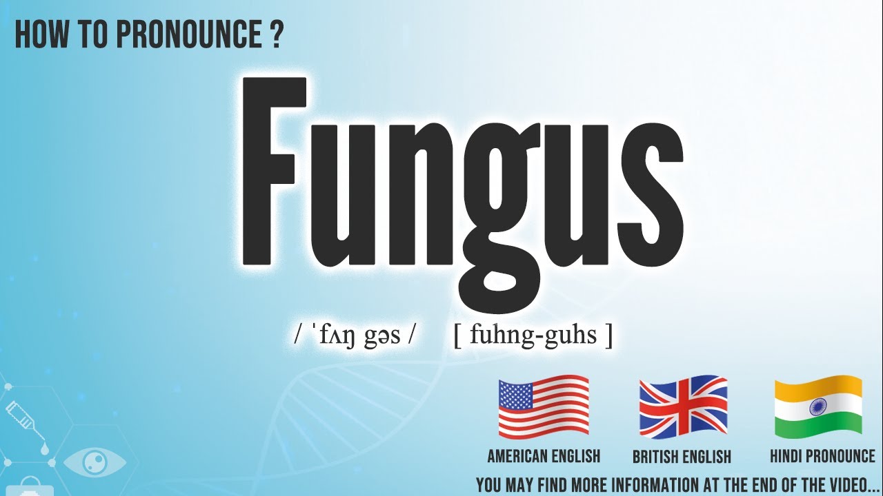Fungus Pronunciation How to Pronounce (say) Fungus CORRECTLY