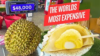 Why this Foul Smelling Fruit is the Most Expensive in Thailand - From Farm to Tasting